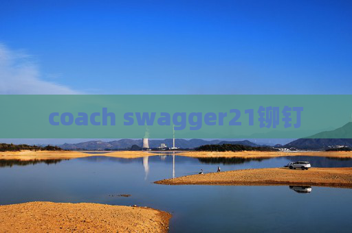 coach swagger21铆钉